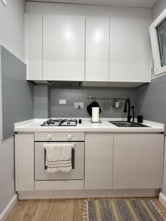 ローマIcona Loft Gianicolenseアパートメント エクステリア 写真